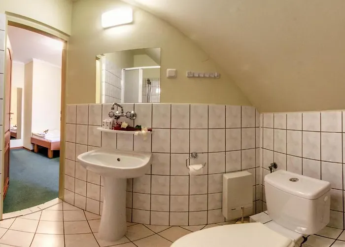 Hotel U Michalika 3*