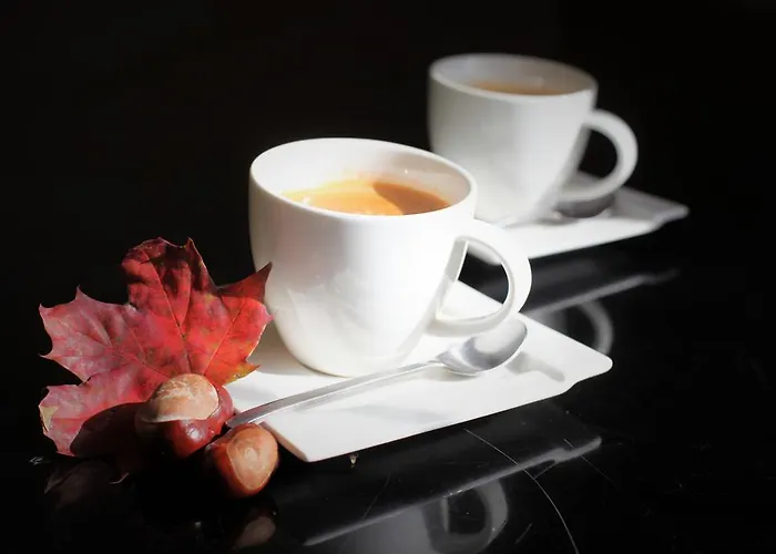 Hotel U Michalika Pszczyna